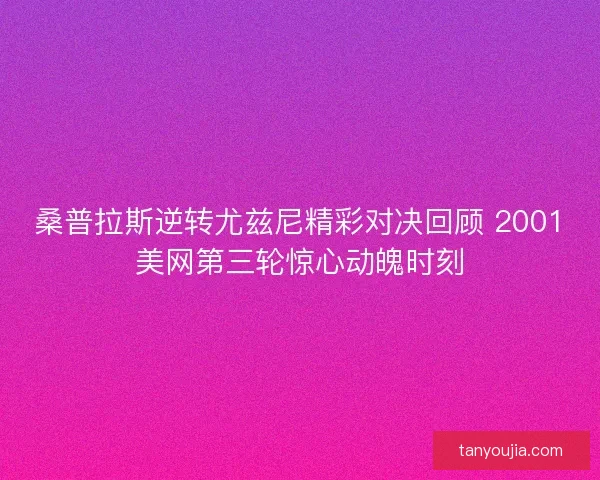 桑普拉斯逆转尤兹尼精彩对决回顾 2001美网第三轮惊心动魄时刻