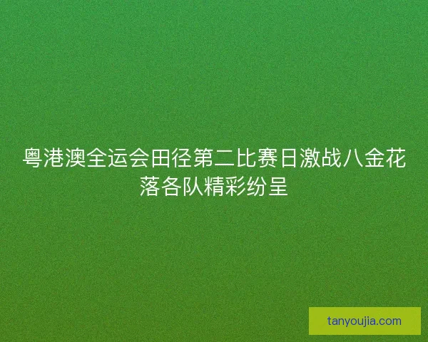 粤港澳全运会田径第二比赛日激战八金花落各队精彩纷呈