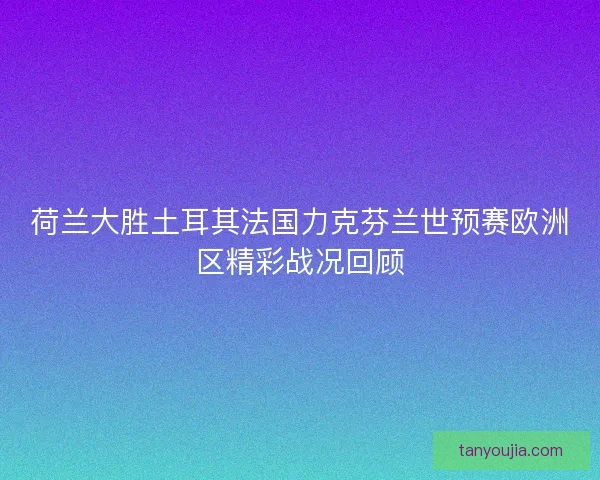 荷兰大胜土耳其法国力克芬兰世预赛欧洲区精彩战况回顾 荷兰大胜土耳其法国力克芬兰世预赛欧洲区精彩战况回顾